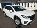 Suzuki (SX4) S-Cross Comfort Allgrip mHEV, LED*BLIS*AHK Biały - thumbnail 1