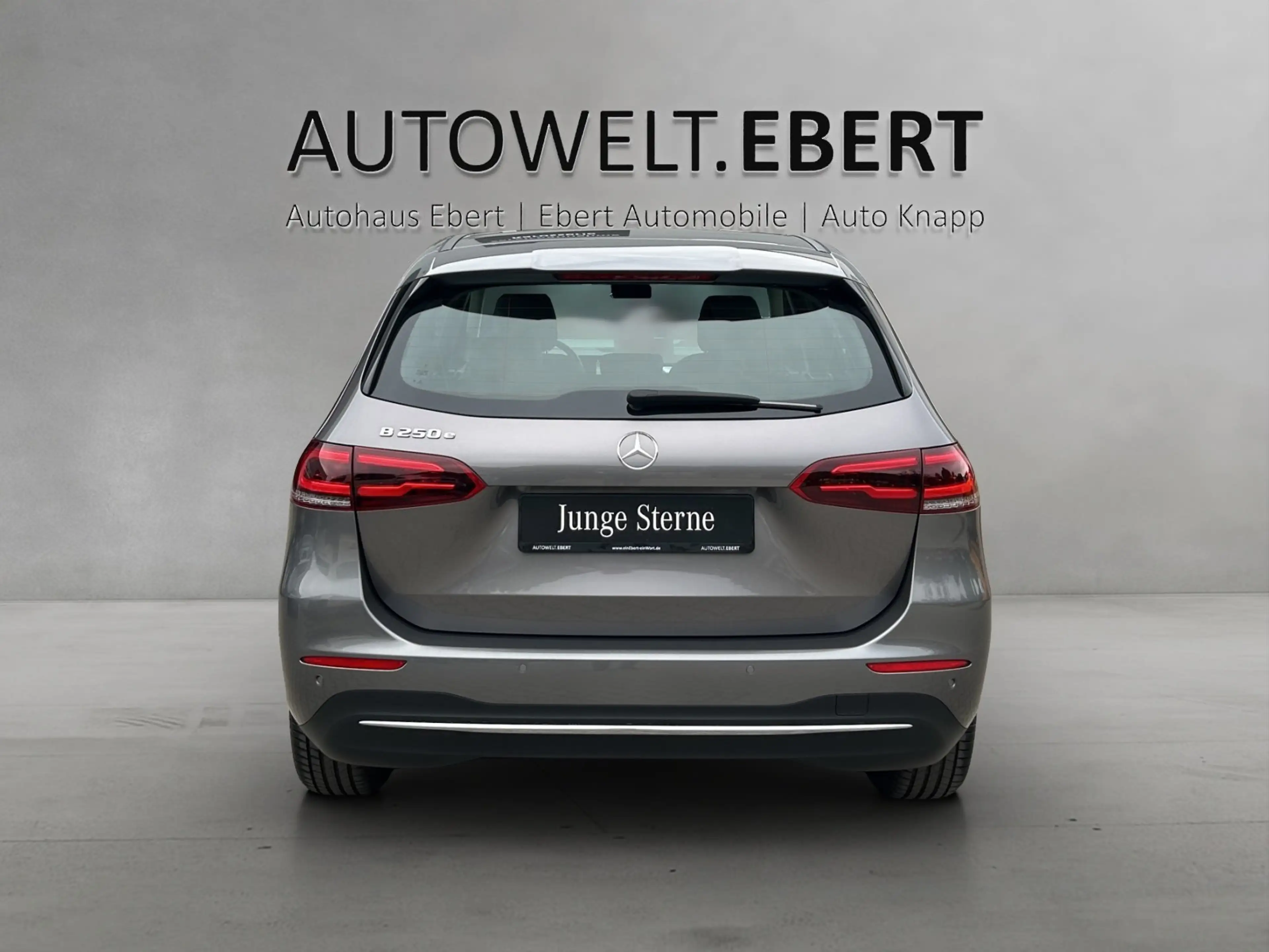 Mercedes-Benz B 250 e Style LED Business DAB Memo Totwi Kamera — photo 4