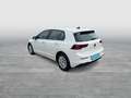 Volkswagen Golf VIII 1.5 TSI SHZ LED APP-CON KLIMA PDC 5-GANG Wit - thumbnail 3