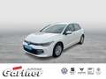 Volkswagen Golf VIII 1.5 TSI SHZ LED APP-CON KLIMA PDC 5-GANG Wit - thumbnail 1