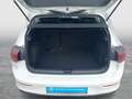 Volkswagen Golf VIII 1.5 TSI SHZ LED APP-CON KLIMA PDC 5-GANG Blanc - thumbnail 12