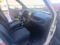 Fiat Doblo Doblò 1.3 MJT S&S PC-TN Cargo Lounge Bianco - thumbnail 9