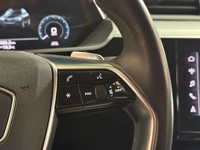 Audi E-Tron view 25