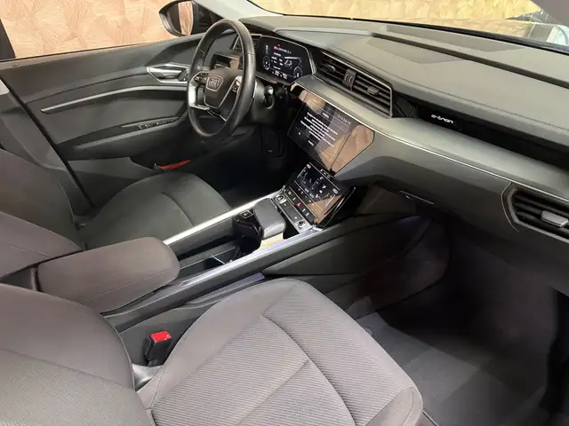 Audi E-Tron view 10