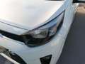 Kia Picanto 1.0 DPi Concept Blanco - thumbnail 12