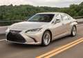Lexus ES 300 300h Business Gris - thumbnail 6