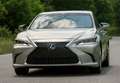 Lexus ES 300 300h Business Grau - thumbnail 5