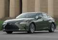 Lexus ES 300 300h Business Grau - thumbnail 8