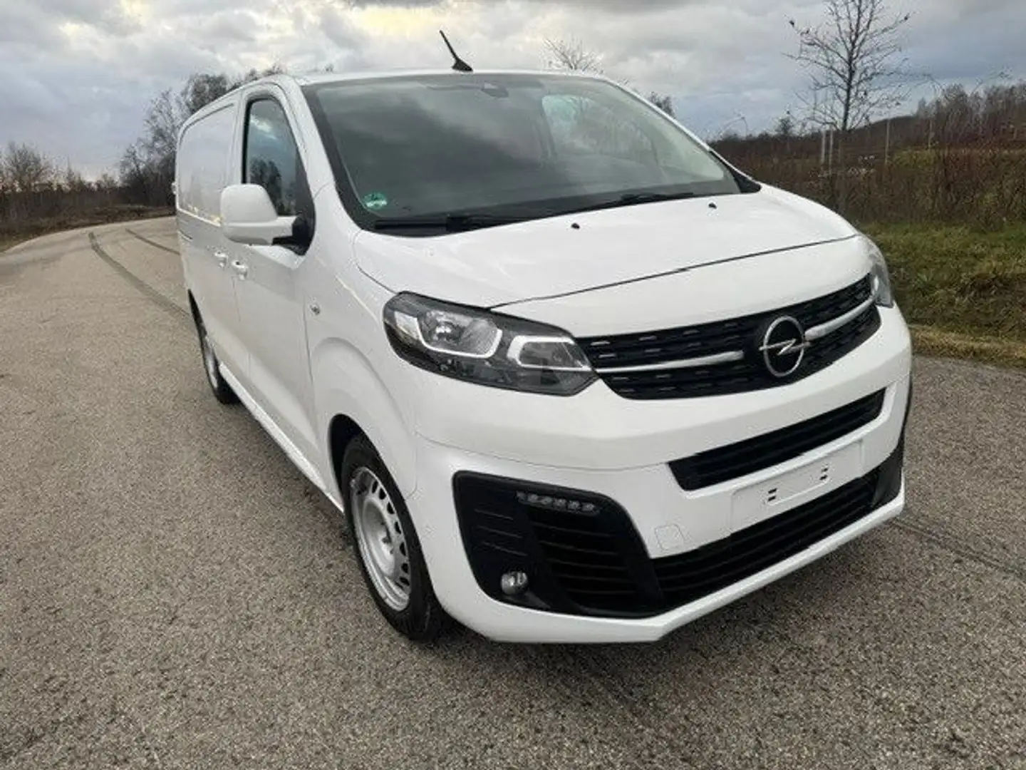 Opel Vivaro Kasten Innovation M Weiß - 1