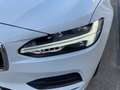 Volvo V90 D3 Momentum Pro Geartronic Weiß - thumbnail 12