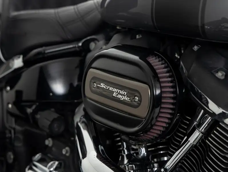 Harley-Davidson Sport Glide - foto 8