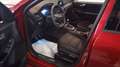 Ford Kuga 1.5 ecoblue ST-Line 2wd 120cv Rosso - thumbnail 7