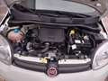 Fiat Panda Panda III 2021 1.0 firefly hybrid s Blanc - thumbnail 19