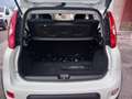 Fiat Panda Panda III 2021 1.0 firefly hybrid s Blanc - thumbnail 16
