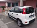 Fiat Panda Panda III 2021 1.0 firefly hybrid s Bianco - thumbnail 6