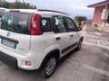 Fiat Panda Panda III 2021 1.0 firefly hybrid s Bianco - thumbnail 4
