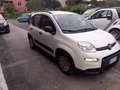 Fiat Panda Panda III 2021 1.0 firefly hybrid s Bianco - thumbnail 3
