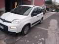 Fiat Panda Panda III 2021 1.0 firefly hybrid s Bianco - thumbnail 1