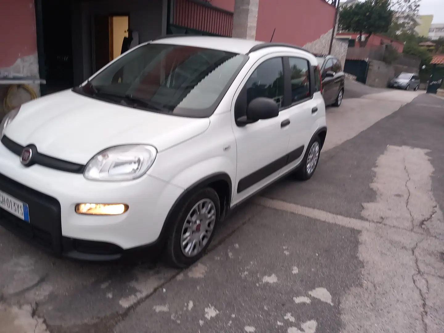 Fiat Panda Panda III 2021 1.0 firefly hybrid s Bianco - 1