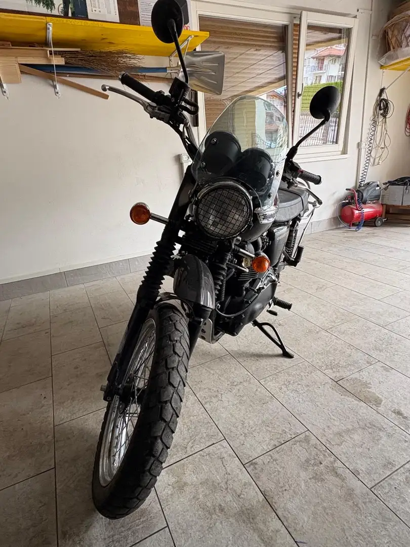 Triumph Scrambler - 1