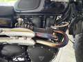 Triumph Scrambler - thumbnail 2