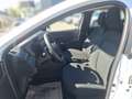 Dacia Sandero Access SCe 65PS Weiß - thumbnail 5
