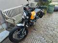 Ducati Scrambler Gelb - thumbnail 2