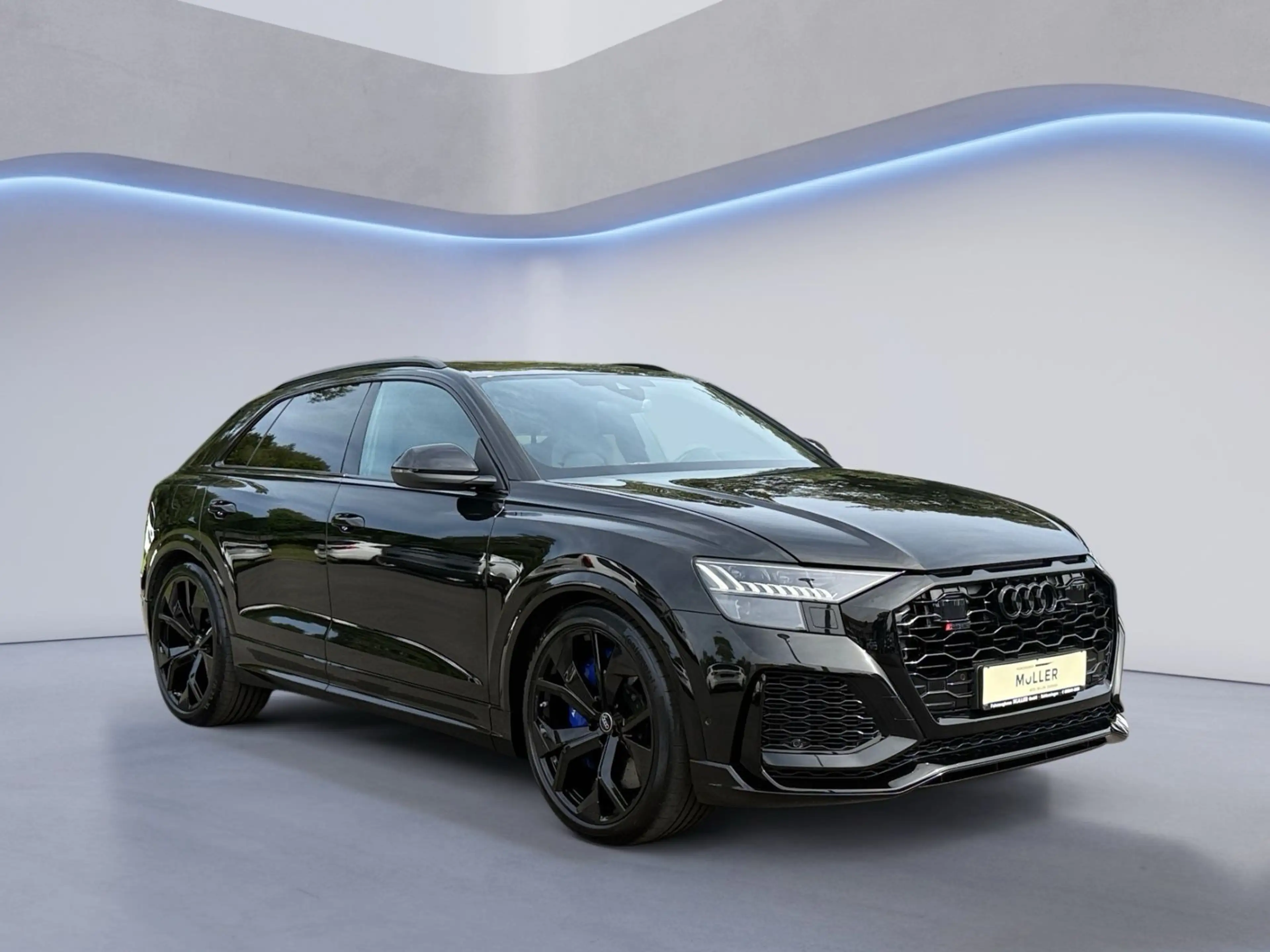 Audi RS Q8 RS Q8 4.0 + SSD+305km/h+Keramik — photo 7