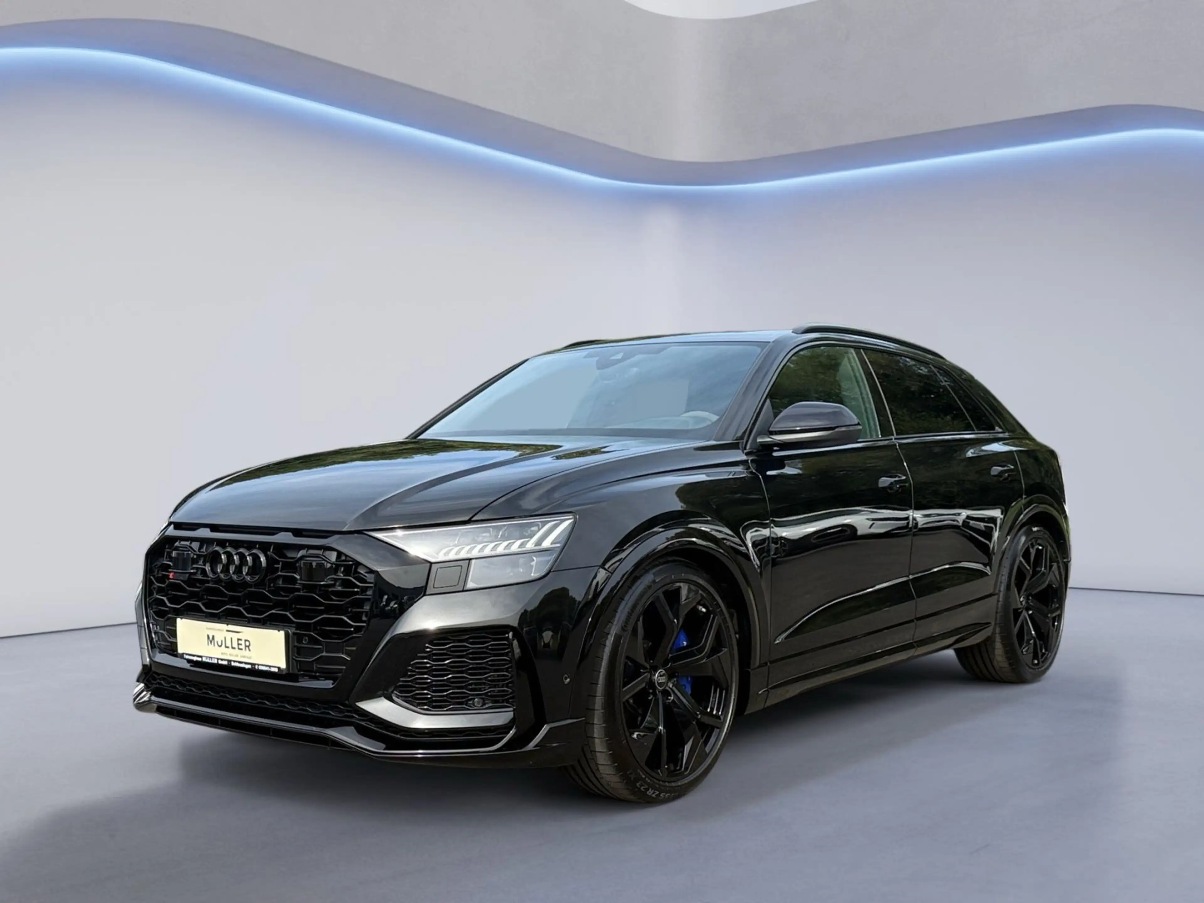 Audi RS Q8 RS Q8 4.0 + SSD+305km/h+Keramik