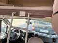 Fiat Ducato Benimar Sport 346 2.3 multijet 150 CV Blanco - thumbnail 11