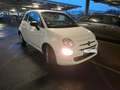 Fiat 500 Fiat 500 1.0 Hybride BSG 70ch Cult 2022 Blanc - thumbnail 2