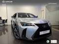 Lexus UX 300h F Sport Legend Azul - thumbnail 13