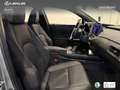Lexus UX 300h F Sport Legend Azul - thumbnail 25