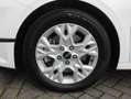 Kia Ceed / cee'd 1.5 T-GDi DynamicPlusLine | Stuur-/stoelverwarming Blanc - thumbnail 31
