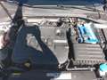 Volkswagen Golf 1.6TDI Last Edition 85kW Blanco - thumbnail 15