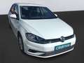 Volkswagen Golf 1.6TDI Last Edition 85kW Blanco - thumbnail 4