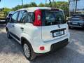 Fiat Panda 1.0 HYBRID VAN 70cv AUTOCARRO N1 Bianco - thumbnail 10