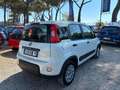 Fiat Panda 1.0 HYBRID VAN 70cv AUTOCARRO N1 Bianco - thumbnail 12