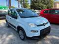 Fiat Panda 1.0 HYBRID VAN 70cv AUTOCARRO N1 Bianco - thumbnail 3