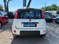Fiat Panda 1.0 HYBRID VAN 70cv AUTOCARRO N1 Bianco - thumbnail 11