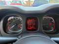 Fiat Panda 1.0 HYBRID VAN 70cv AUTOCARRO N1 Bianco - thumbnail 7