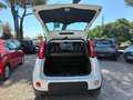 Fiat Panda 1.0 HYBRID VAN 70cv AUTOCARRO N1 Bianco - thumbnail 9