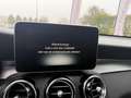 Mercedes-Benz GLC 250 GLC 4MATIC Gris - thumbnail 11