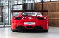 Ferrari 458 Challenge Evo 2 | 2x Championship Gewinner Rood - thumbnail 19