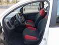 Fiat Panda *PROMO* 1.2 Pop Blanc - thumbnail 11