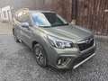 Subaru Forester Trend 2.0 ie Mild Hybrid Vert - thumbnail 12