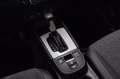 Honda Jazz 1.5 hev Elegance ecvt Bianco - thumbnail 14