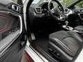 Kia Ceed / cee'd 1.6 T-GDI DCT7 OPF GT Weiß - thumbnail 12