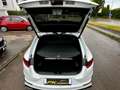 Kia Ceed / cee'd 1.6 T-GDI DCT7 OPF GT Weiß - thumbnail 9