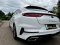 Kia Ceed / cee'd 1.6 T-GDI DCT7 OPF GT Weiß - thumbnail 4
